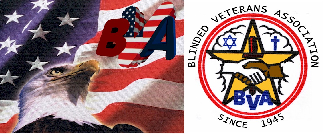 Image of the Head of an Eagle looking at the BVA Logo.