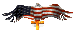 Image of an Eagle colored alike the Flag.